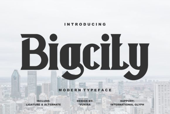 Bigcity Font: A Bold Display Typeface for Digital Designers