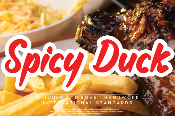 Spicy Duck Font: A Joyful Display Typeface for Creative Campaigns